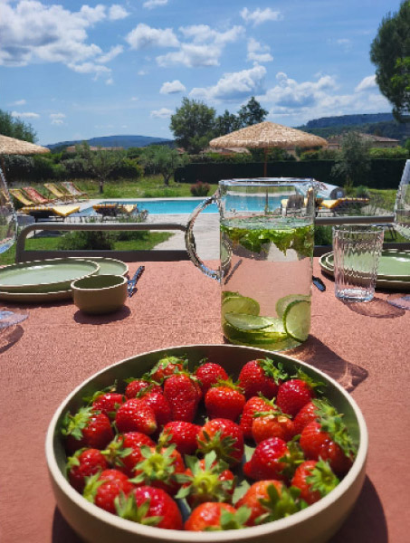 Casa SISTA, grand jardin et terrasse devant la piscine